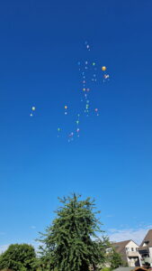 2c7f8287-3a0b-4c2a-8acf-76f1e41dd957