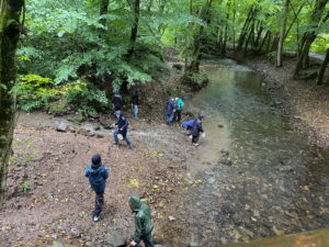 5ec03773-0956-44f7-b5d0-da15a2d67720