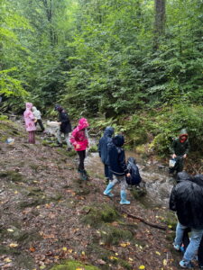 8edbb5fd-060d-4725-ad4c-c9203f78db4a