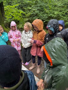 d7c30ad9-ab7b-497d-b30e-82d7c790ad9d