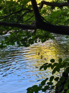 0d3e7dc7-305f-410f-b5d1-9a244b002b27