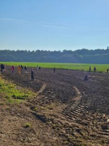 186c497b-1f67-45c7-9c94-48cdb2af99e4