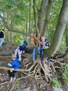 191beb56-2a74-446f-94a4-3800485b6347