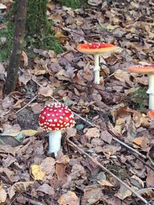 3bce20f7-4384-4659-b91c-a6661e2b8035