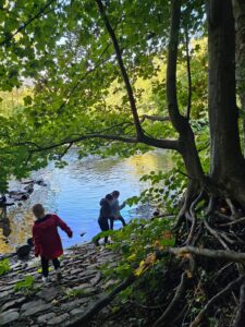 8a198afb-6406-4d4a-8082-9ed0733f700f