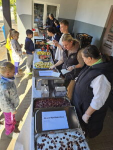 bee1b8e6-d1fb-46d3-807b-c0686374a6ab