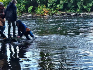 c7655530-a91e-4434-939a-444913226fb0