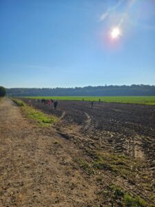 c7712b0d-4d23-4b25-bf0f-4ad8e558fb9a