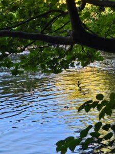 d10eab98-8817-4982-b2bd-8e855ed8fa49