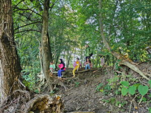 e60f2bb4-89af-4e90-bb37-16fc3306cab6