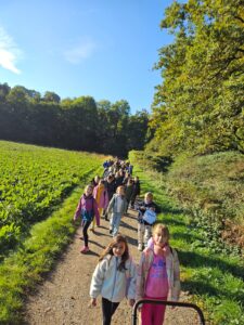 ea54d6dd-5060-4e8f-8889-4b1b0975632f