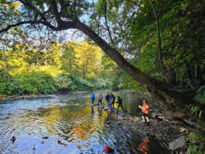 f79a39ce-4896-4800-94f3-6c77be3dae66